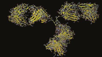 Protein Stability and Protein Structure