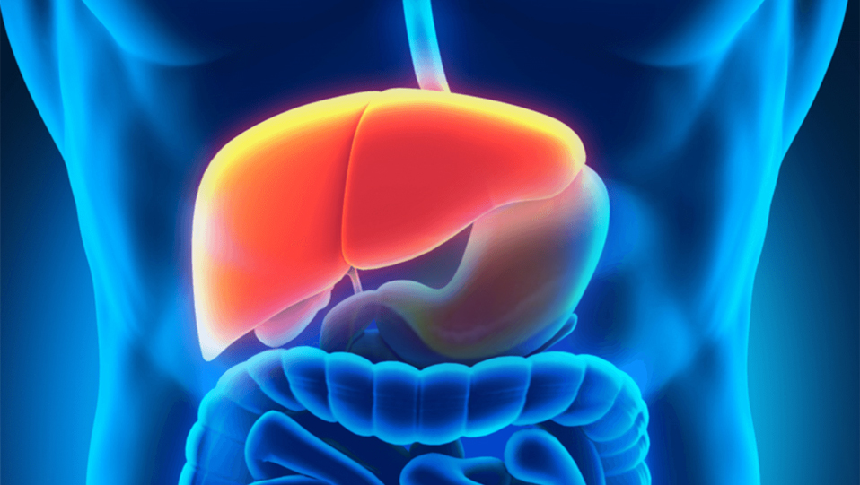 Gastroenterology | Hepatology